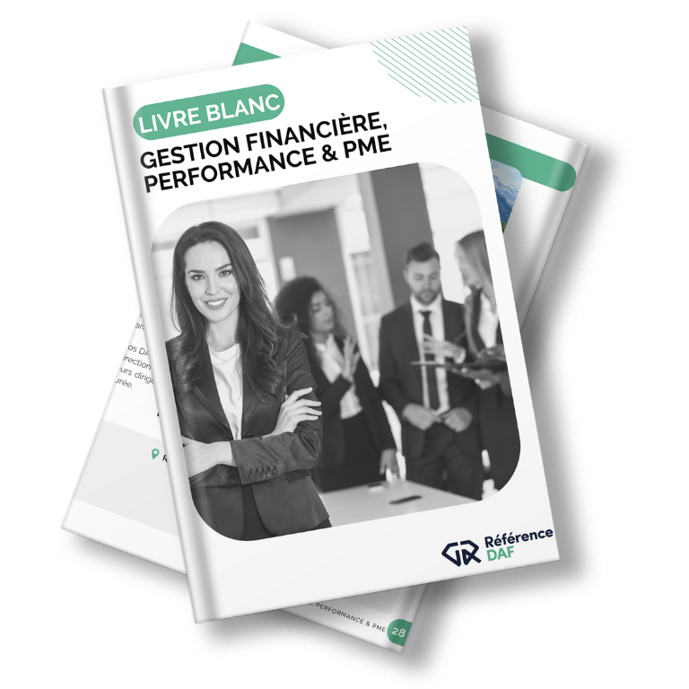 livre blanc systemess dinformation performance pme 3