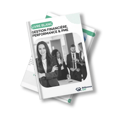 Livre blanc Gestion financière, Performance & PME