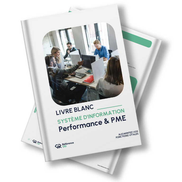 livre blanc systemess dinformation performance pme