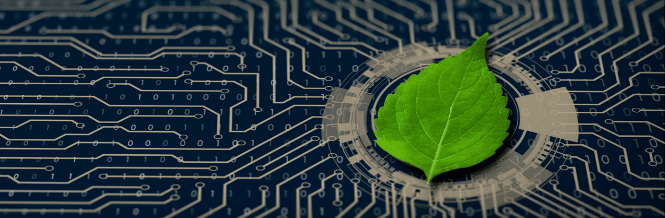 L’informatique verte et durable : un réel enjeu pour les PME