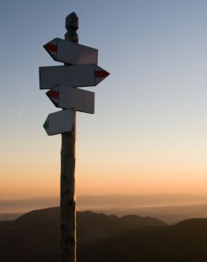 transformation des organisations